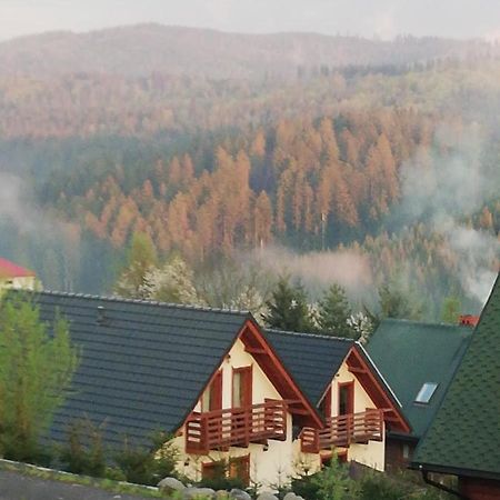Domek U Malysza Istebna Kültér fotó