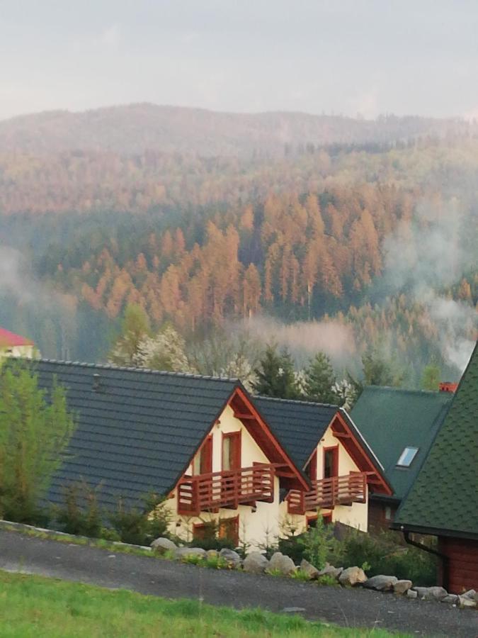 Domek U Malysza Istebna Kültér fotó