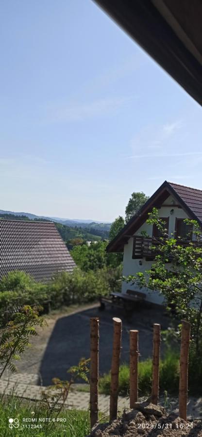 Domek U Malysza Istebna Kültér fotó