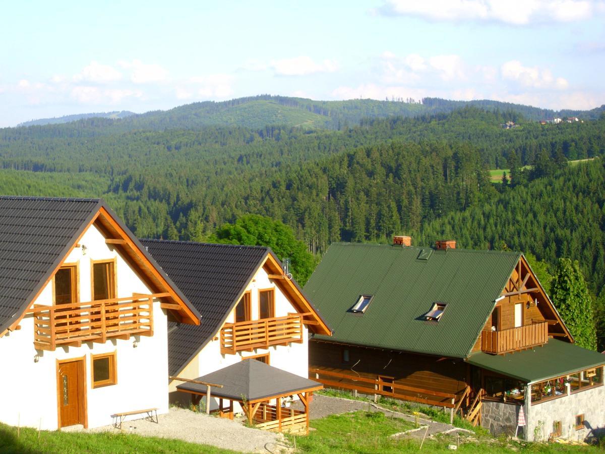 Domek U Malysza Istebna Kültér fotó