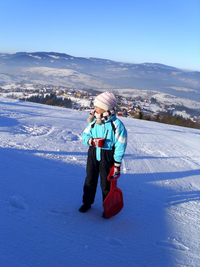 Domek U Malysza Istebna Kültér fotó